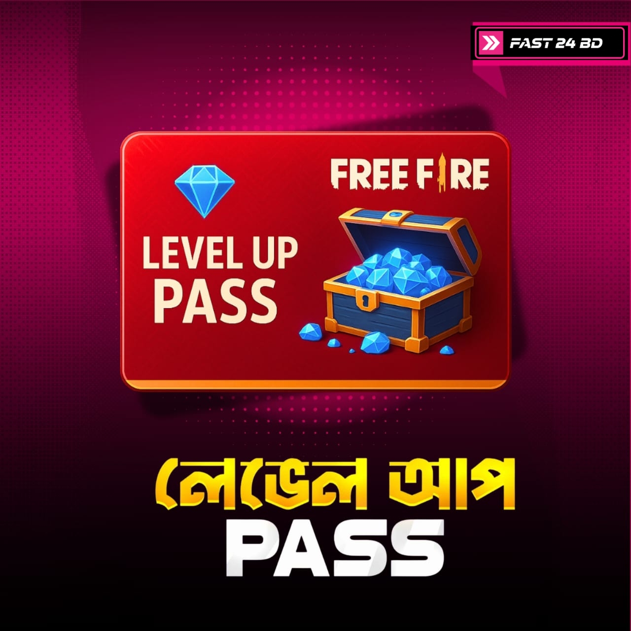 LEVEL UP PASS 